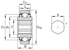 外球面球軸承 SK100-206-KRR-B-AH11, 球面外圈，內圈帶六角形孔，兩側 R 型密封